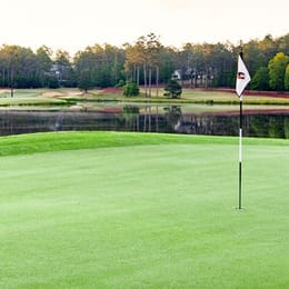 Forest Creek Golf Club (North)