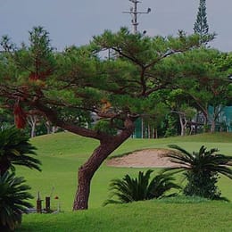 Gushikawa Golf Club