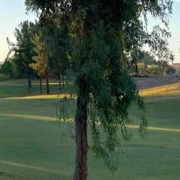 Stripe Show Golf Club