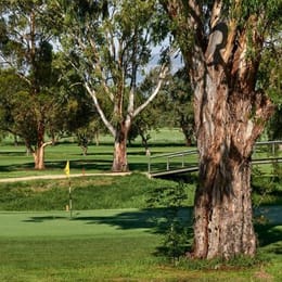 Scone Golf Club