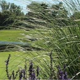 Kenwood Golf & Country Club