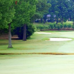 Back Acres Country Club