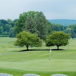 Steel Club (Ross Gordon)