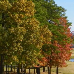 Northwood Hills Golf Club