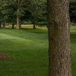 Sarnia Golf & Curling Club