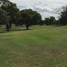 Coleambally Golf Club