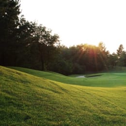 Yokawa Inter Golf Club MECHA