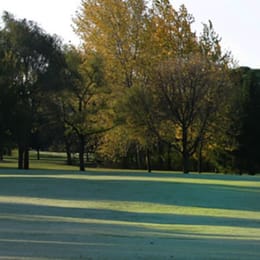 University of Illinois Golf Course (Orange)
