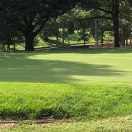 Billy Goat 9 & Dine - Birchtree Golf Course