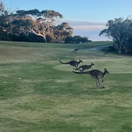 Wirrina Cove Golf & Country Club