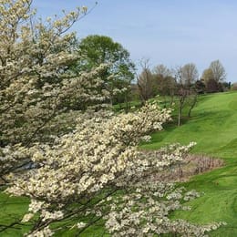 Meadowink Golf Course