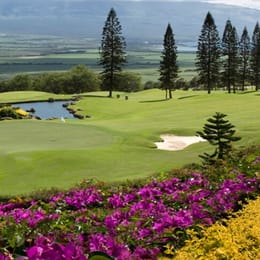 The King Kamehameha Golf Club