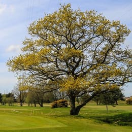 Penwortham Golf Club