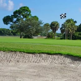 Sailfish Sands (Sailfish)