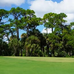 Sailfish Sands (Sands)