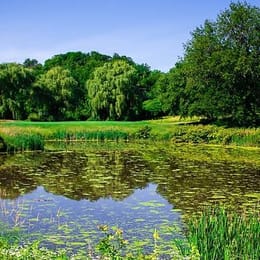 Blue Fox Run Golf Course