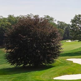 Brooklawn Country Club