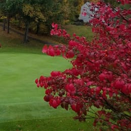 Pocono Hills Golf Course