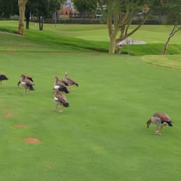 The Campus Classic Par 3