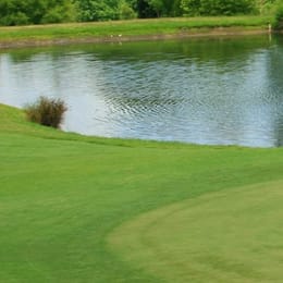 Palmetto Hills Golf Club