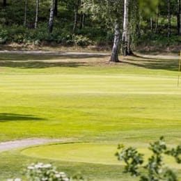 Falkenbergs Golfklubb (9h)