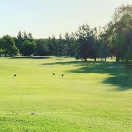 Las Cañuelas Club de Campo