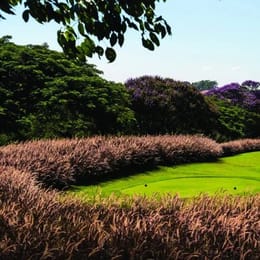 Fazenda Boa Vista (Arnold Palmer)