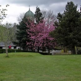 Cloghoge Pitch & Putt Club