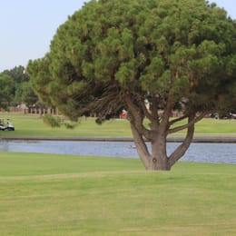 Green Tree Country Club