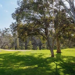 North Adelaide Golf Course (Par 3)
