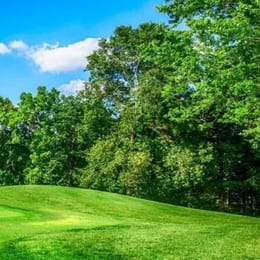 The Oaks at Margaritaville Lake Resort