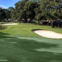 Citrus Hills Golf & Country Club (Meadows)