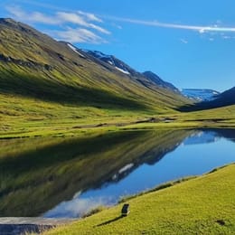 Golfklúbbur Fjallabyggdar - Skeggjabrekkuvöllur