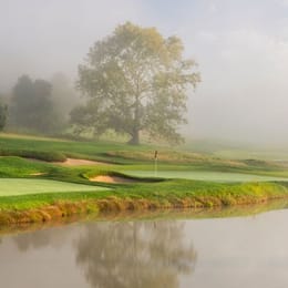 Birdwood Golf Course (The Nest)