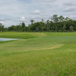 The Villages - Executive Golf Trail (Live Oak)