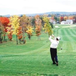 The Woods Resort (Stony Lick)