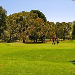 The Gums Golf Course Salisbury