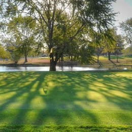 Mosswood Meadows Golf Course