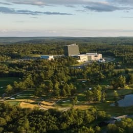 The Monster Golf Club