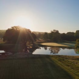 Mad Swans at South Downs