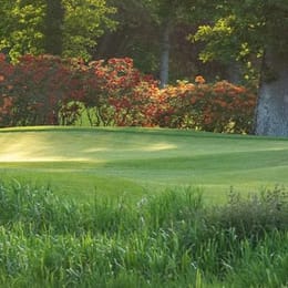 The K Club (Palmer North)