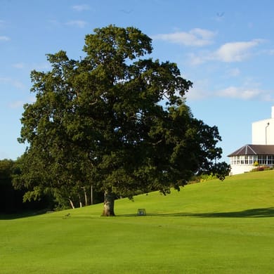 New Forest Golf Club