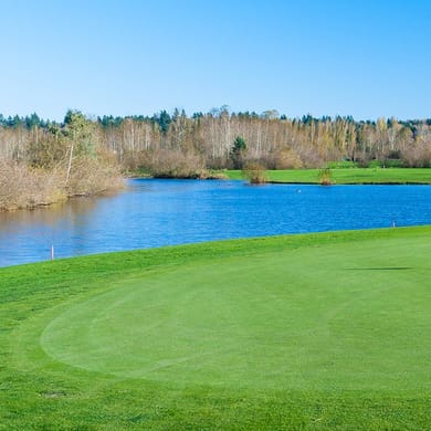 Willows Run Golf (Eagle's Talon)