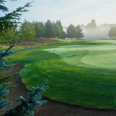 Willows Run Golf (Coyote Creek)