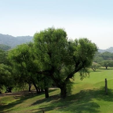 Club de Golf El Copal