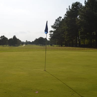 Southern Gayles Golf