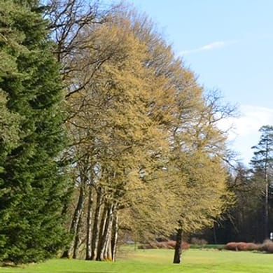 Golf Club de Besançon