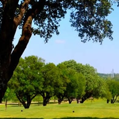 Tenison Park Golf Course (Glen)