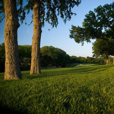 Oak Hollow Golf Course
