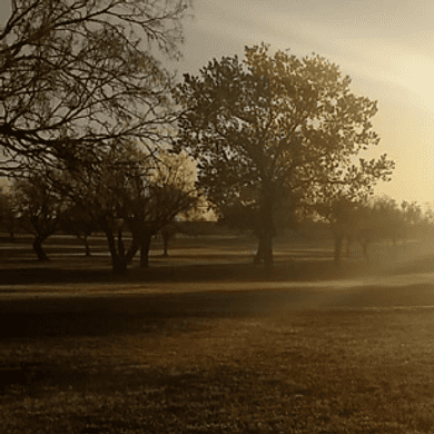 Wolf Creek Golf Links